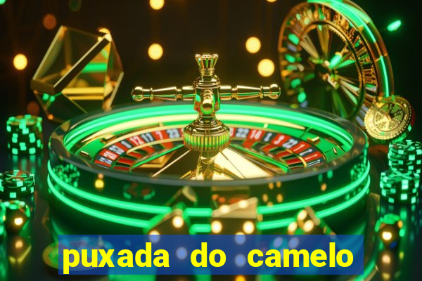 puxada do camelo no jogo do bicho